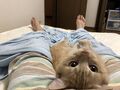 2025年10月3日 (金) 23:52時点における版のサムネイル