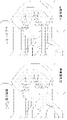 2024年11月5日 (火) 23:32時点における版のサムネイル