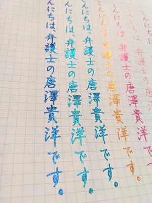 ななのの筆記１.jpg