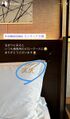 2024年11月5日 (火) 23:29時点における版のサムネイル