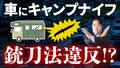 2024年11月5日 (火) 14:42時点における版のサムネイル