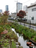 渋谷方面を臨む