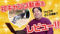 2024年11月5日 (火) 23:31時点における版のサムネイル