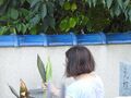 2025年3月21日 (金) 22:09時点における版のサムネイル