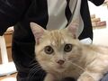 2025年10月3日 (金) 23:53時点における版のサムネイル