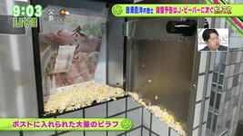 バラいろダンディ